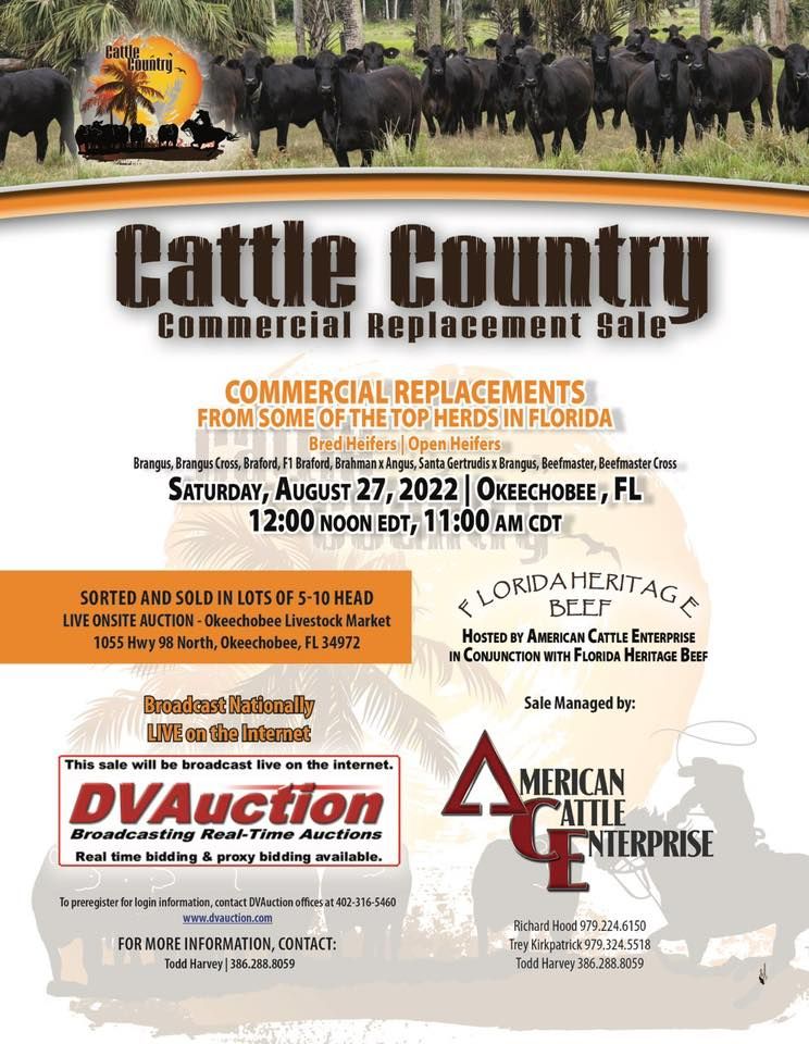 2022 Cattle Country Commercial Replacement Sale | Okeechobee Livestock ...