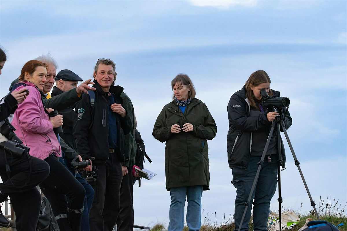 December bird survey at Greyhope Bay