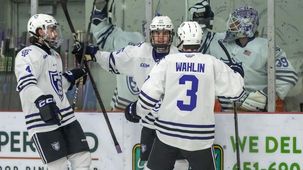 Ferris State Bulldogs at Augustana Vikings Mens Hockey