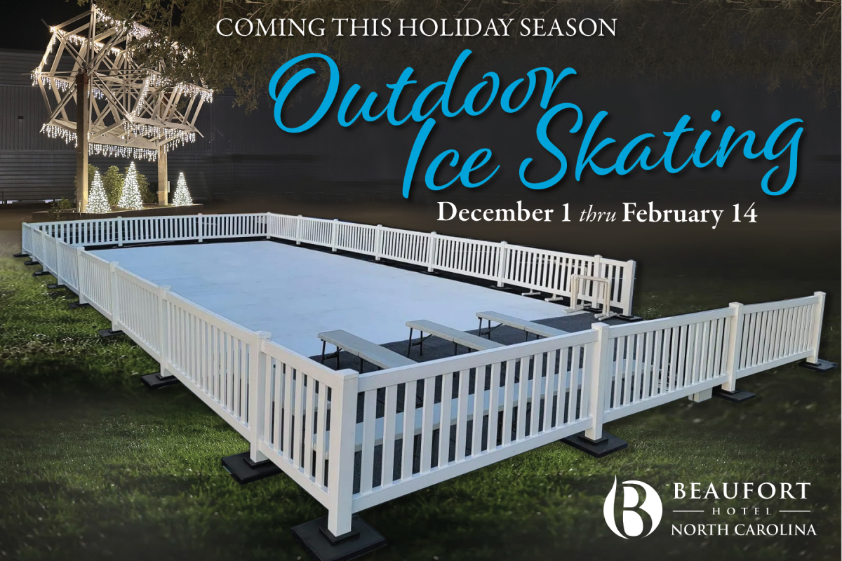 Public Ice Skating - Macon