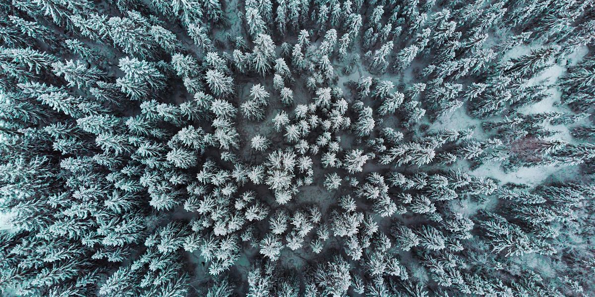 Winter Light: Reiki Sound Bath & Meditation