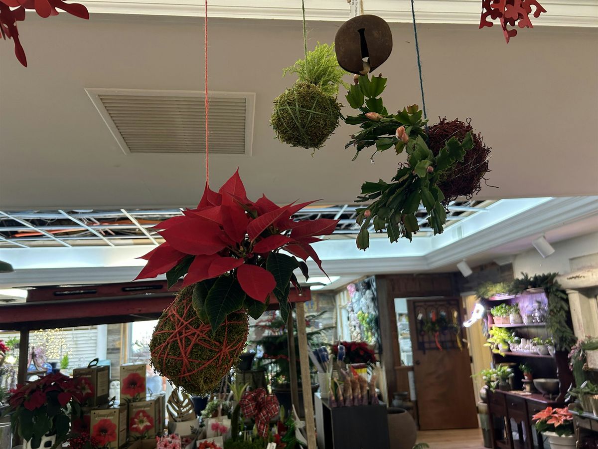 Holiday Kokedama Moss Ball Workshop