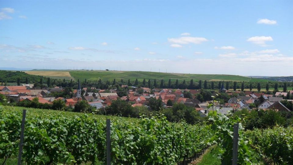 Hamerschemer Reilcher und Stickelcher