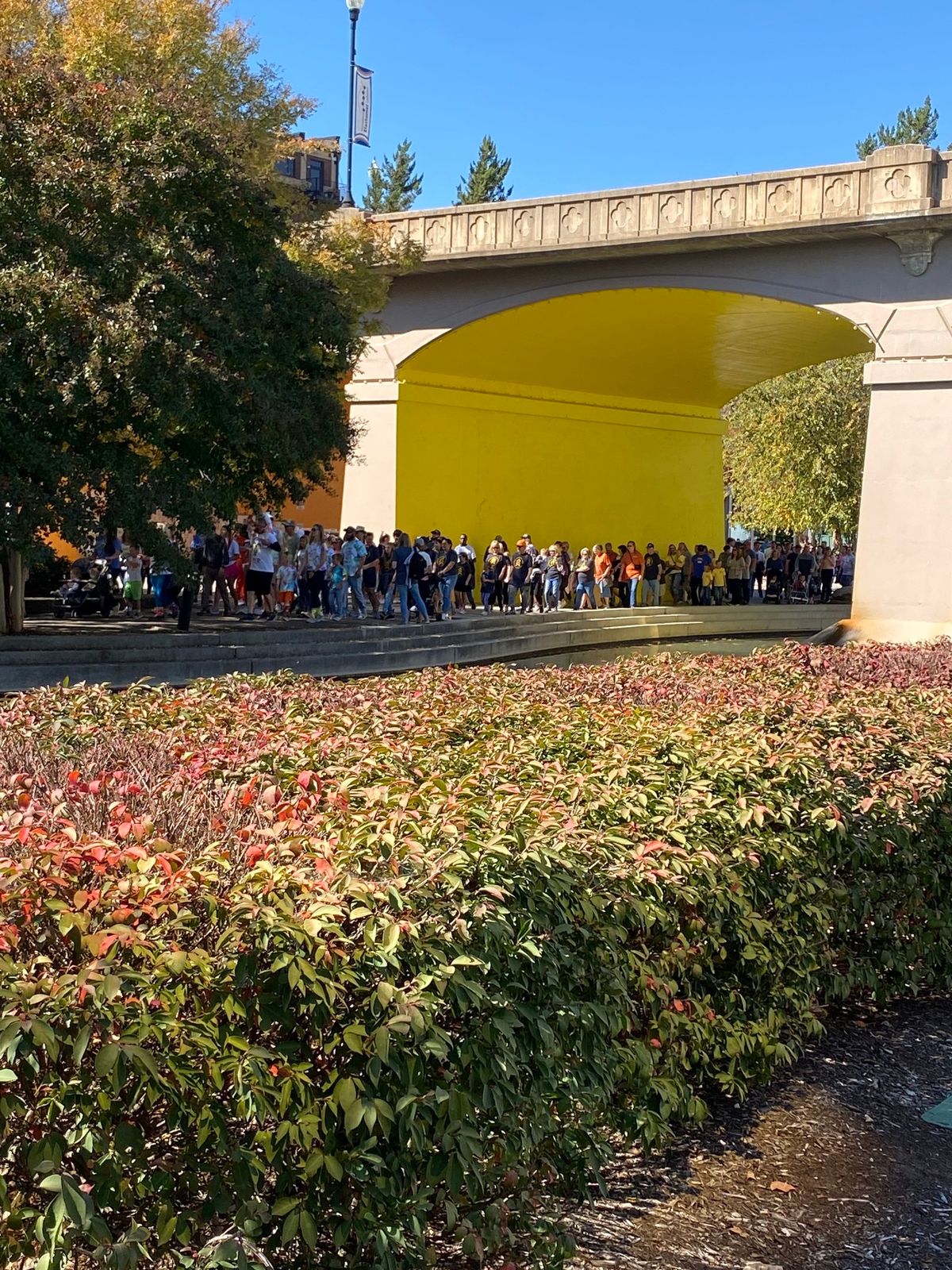 2024 Knoxville Buddy Walk World's Fair Park Knoxville October 20