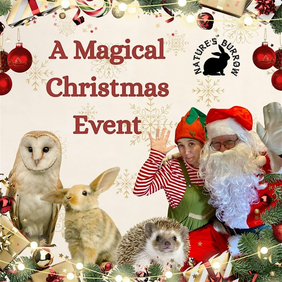 Christmas at Toddle Play Cafe