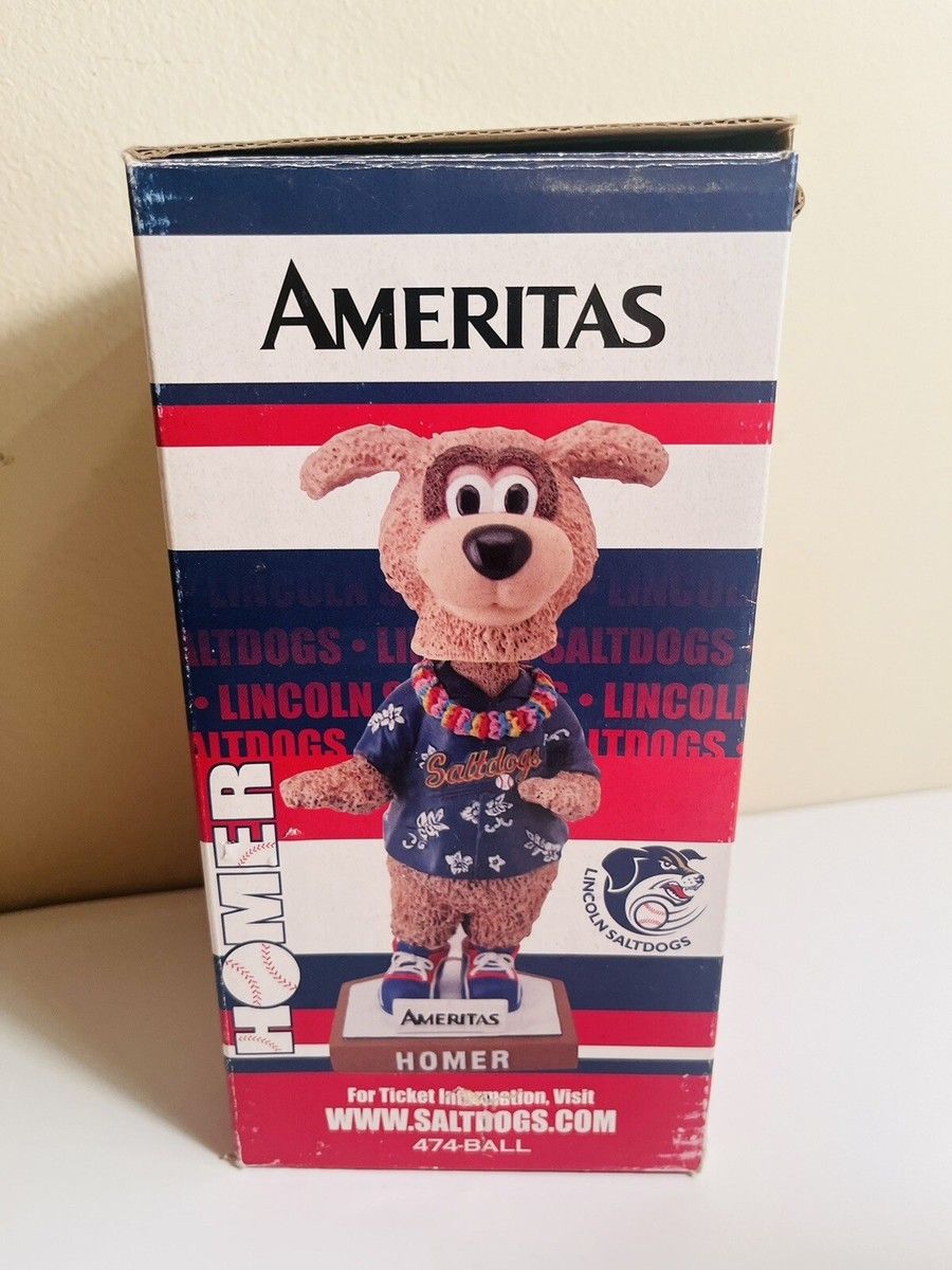 Chicago Dogs at Lincoln Saltdogs at Hawks Field at Haymarket Park