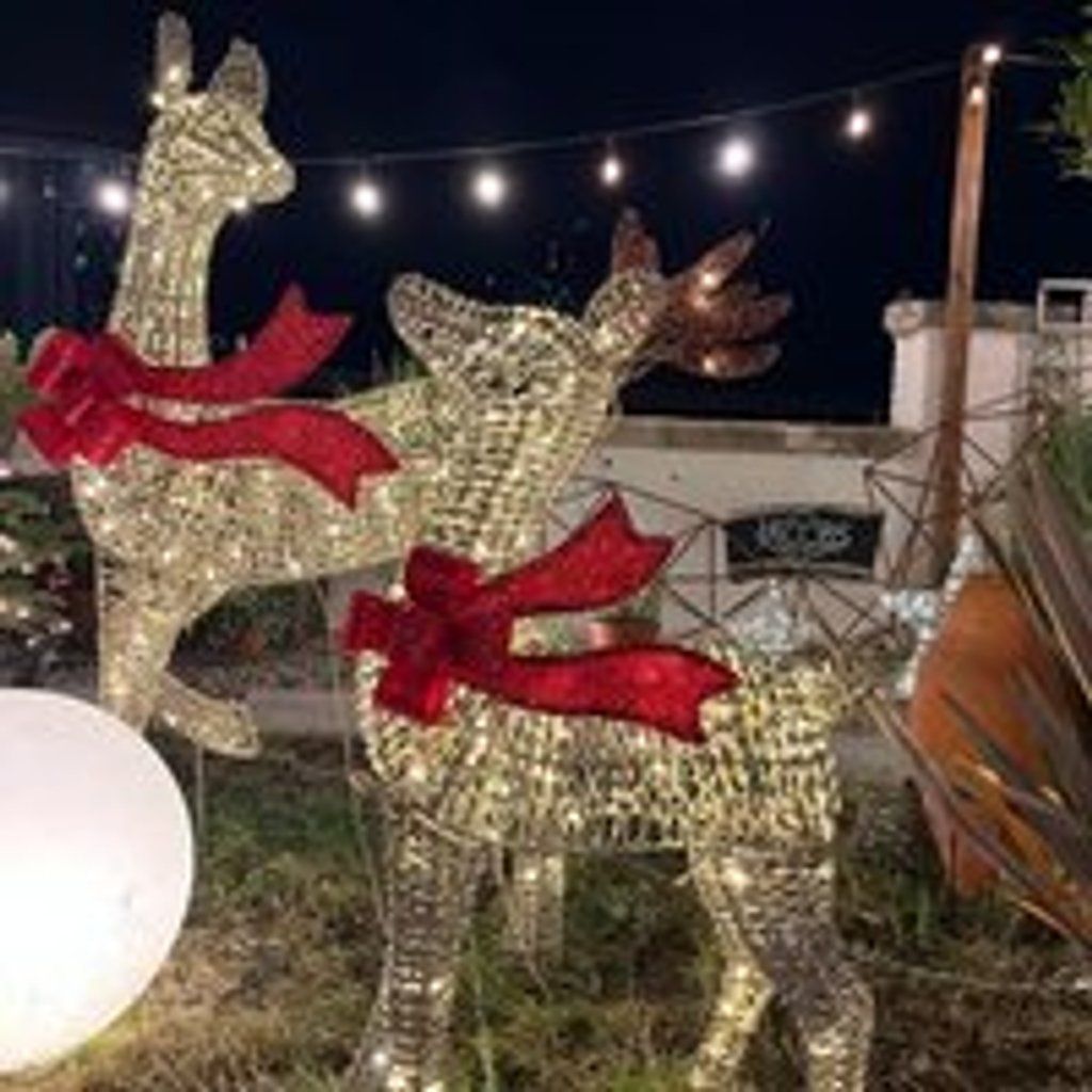 Rooftop coffee shop serving mulled wine and mince pies!