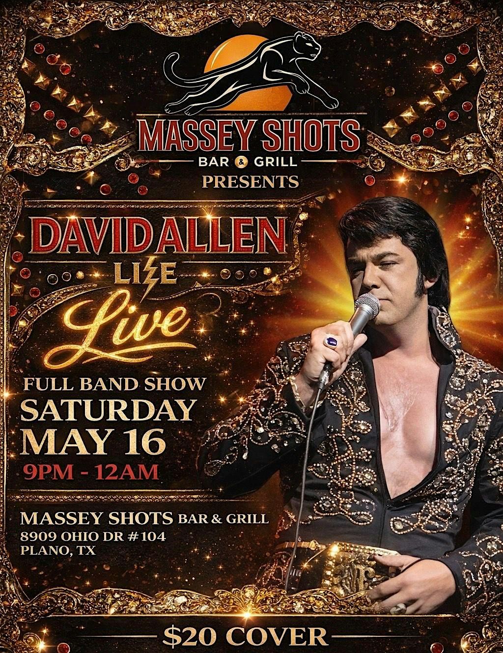 Elvis Night - David Allen Live at Massey Shots