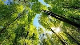 Caerphilly Business Club Climate Coalition Launch