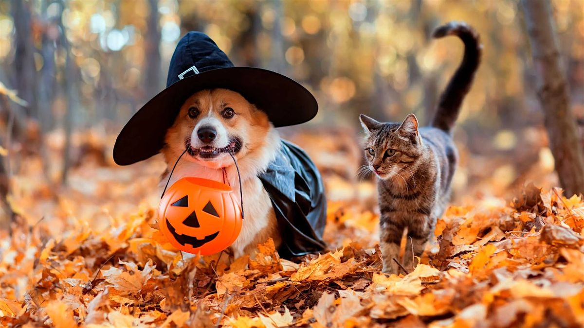 PAW-PULENCE: The Pet Halloween Event and Costume Contest!