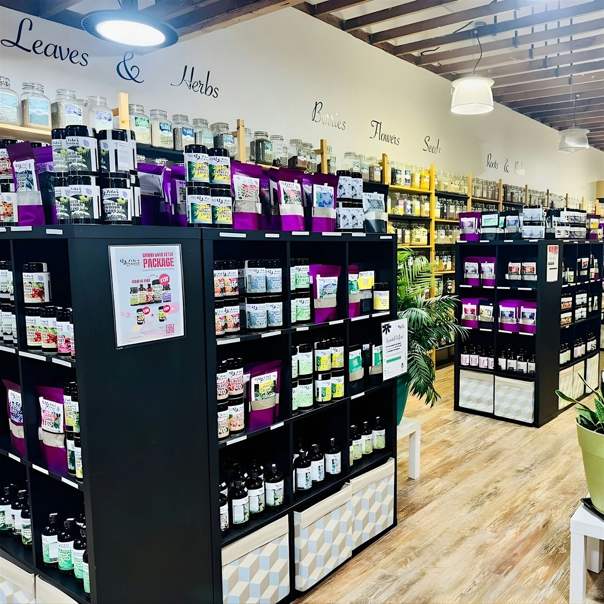 African Herbalism Class