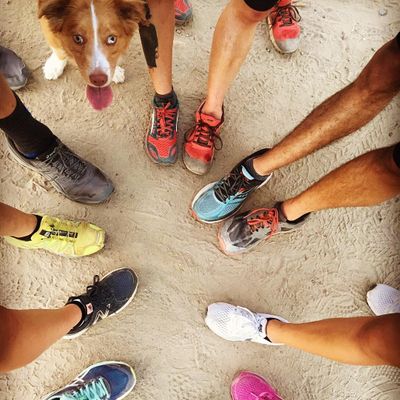 Urban Trail Runners San Diego