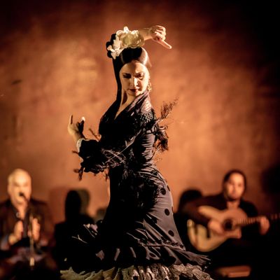Flamenco Santa Barbara