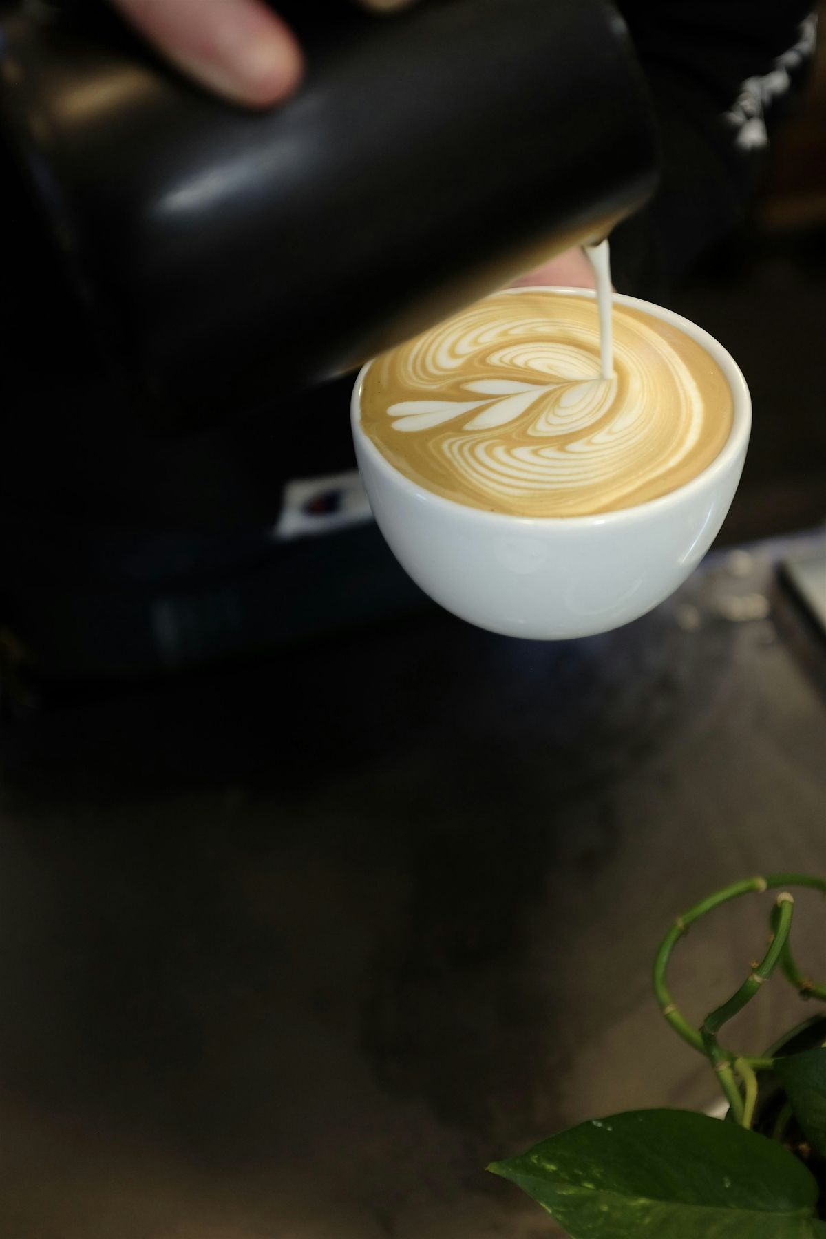 Coava X Fellow Series One Throwdown