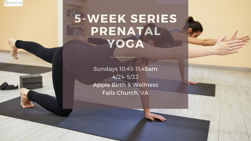 Prenatal Yoga Series in Falls Church