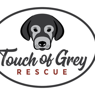 Touch of Grey Rescue