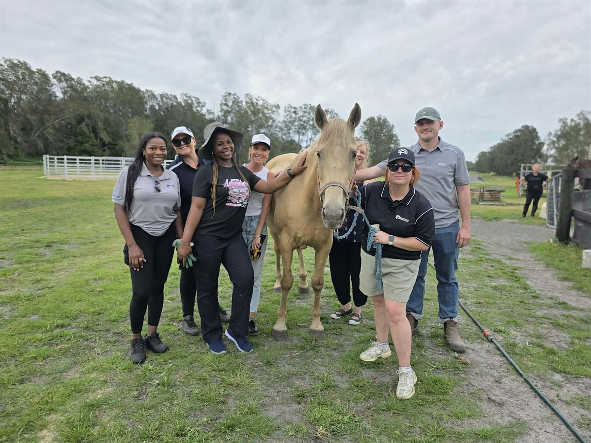 May 2026 - Hunter Horse Haven Volunteer Introduction Session