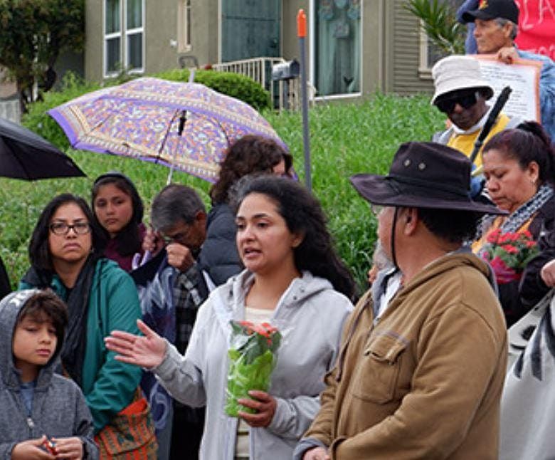 Rooted Families: Panel, Film & Celebration