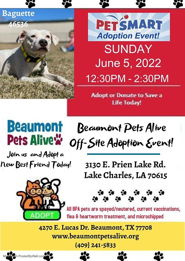 Off-Site Adoption Event at PetSmart in Lake Charles, LA