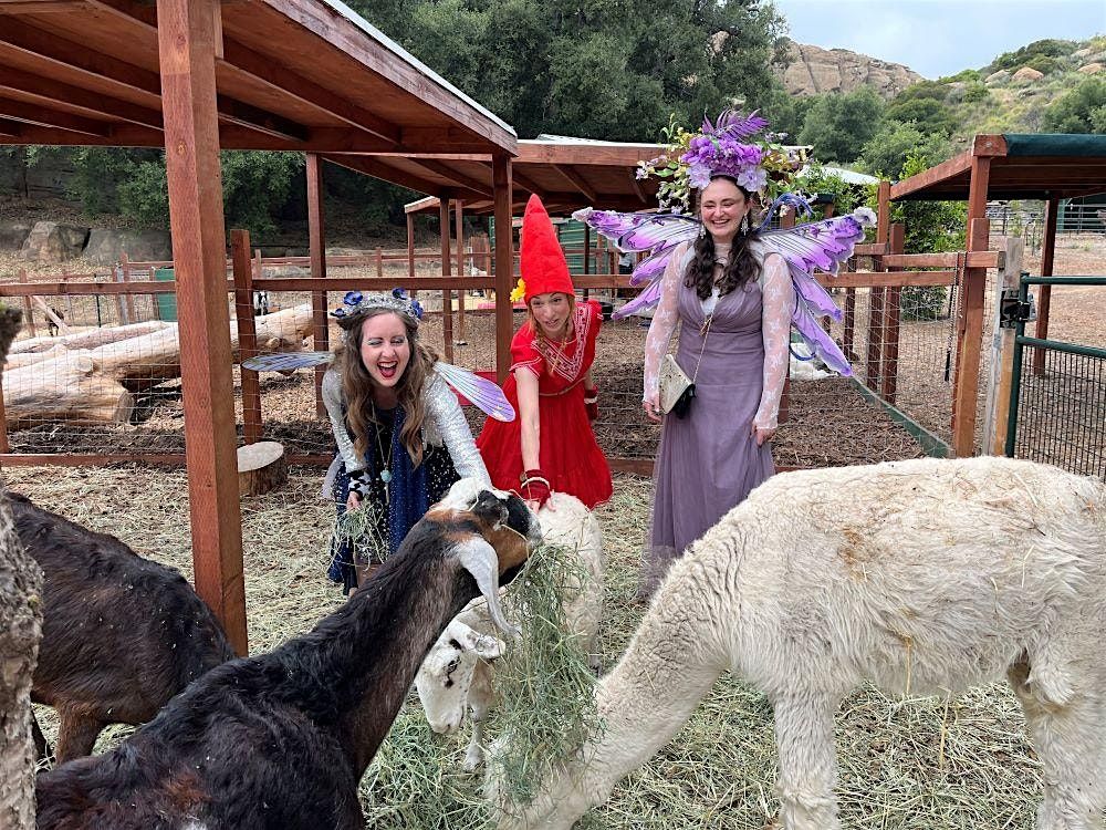 A Faery Hunt Adventure and Their Animal Friends