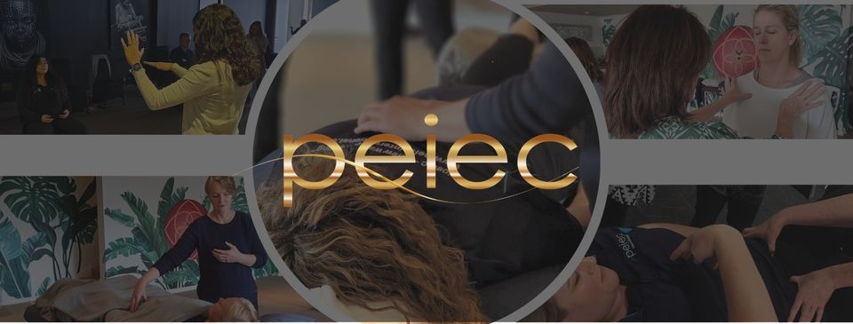 Peiec Healing Module 1 with Anandi