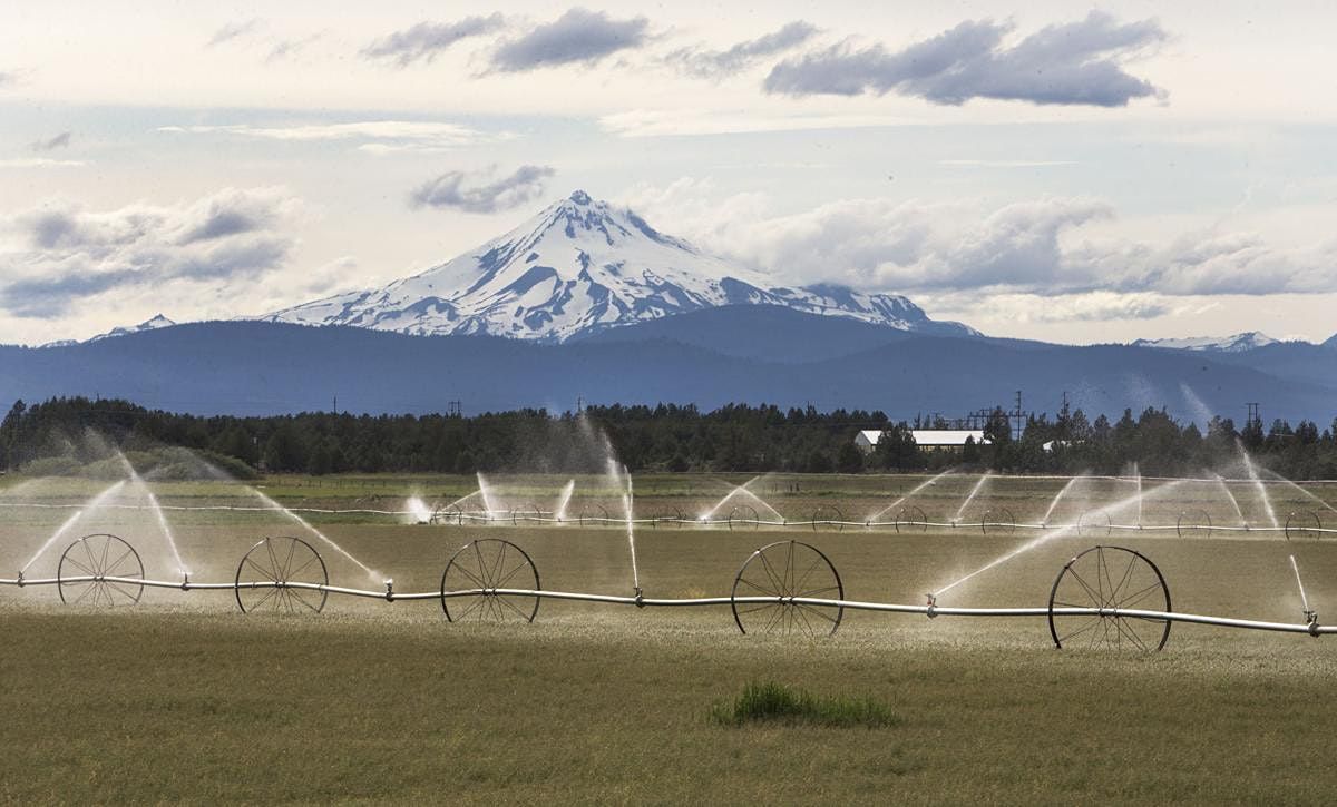 Irrigation Water Management 2 Adapting to Drought Conditions