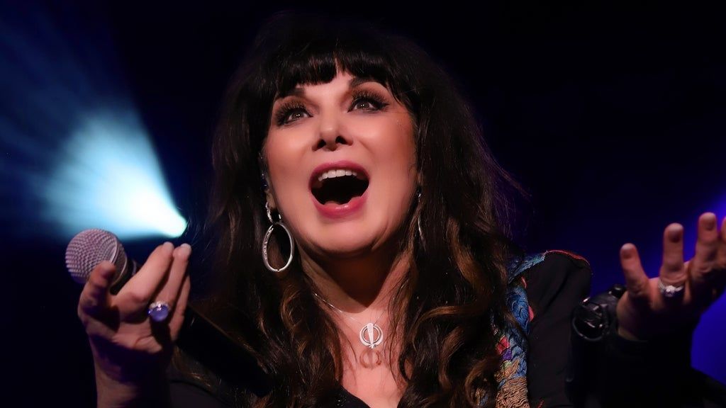 ANN WILSON: IN MY VOICE