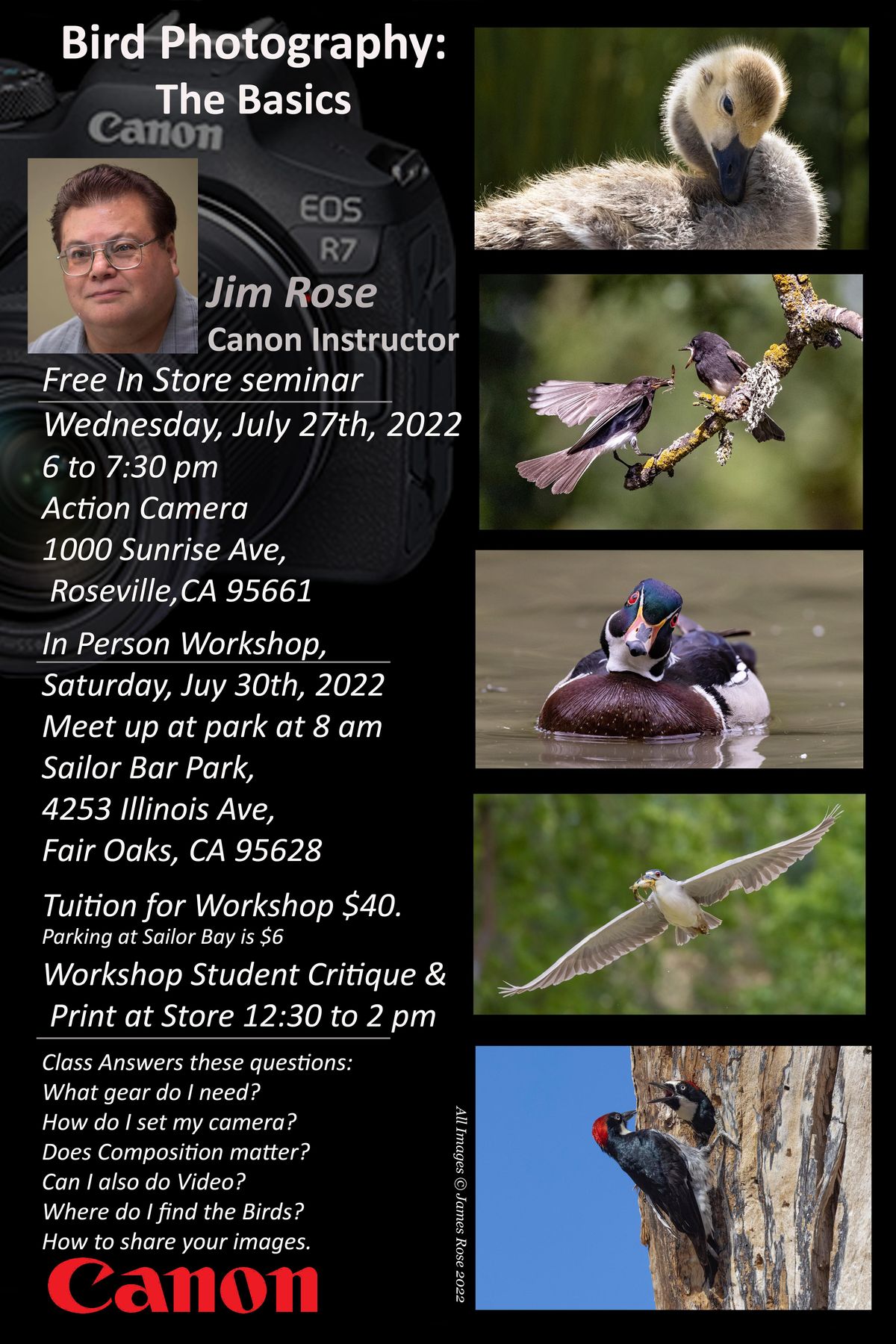 Bird Photography The Basics 3 Part In Person Roseville