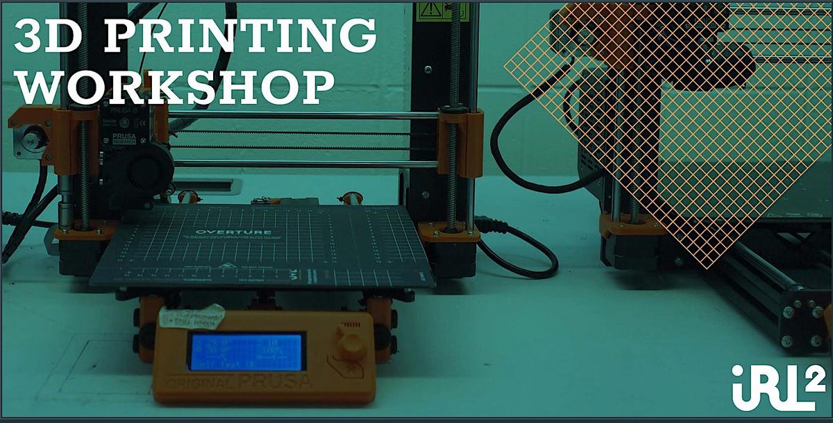 CR-10 & Ender 3D Printing @ IRL2