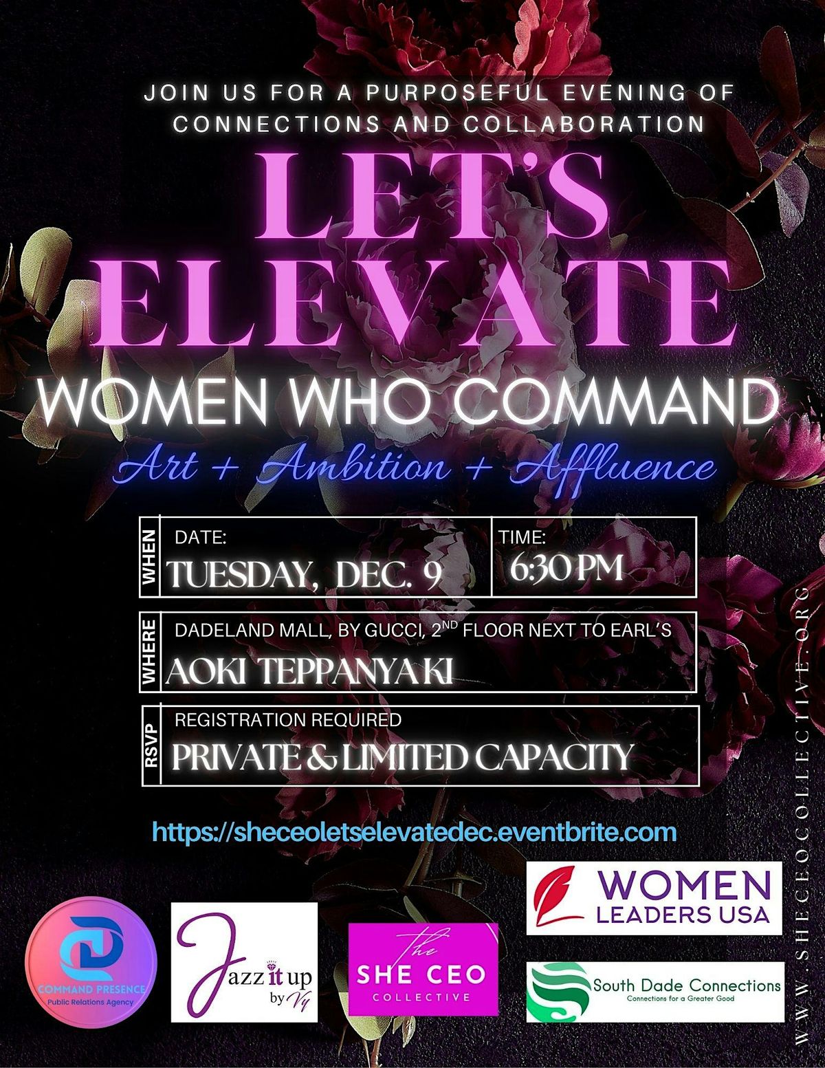 She CEO Collective Let's Elevate Networking Night