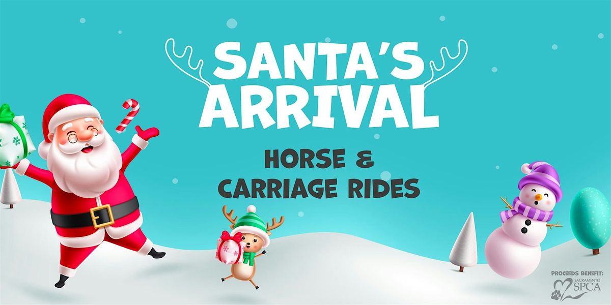 Holiday Horse & Carriage Rides at Loehmann's Plaza