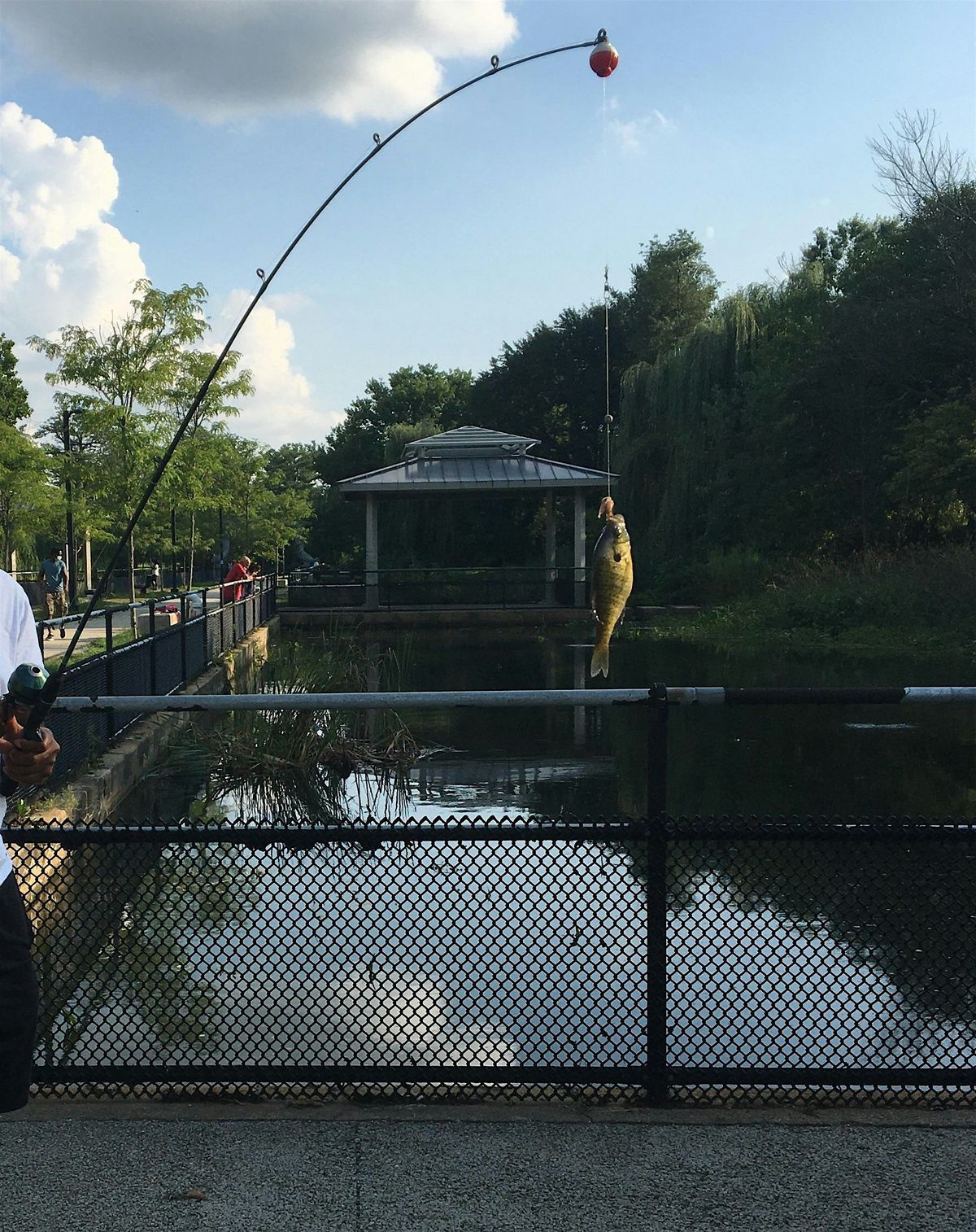 Learn to Fish - Pleasant Hill Park