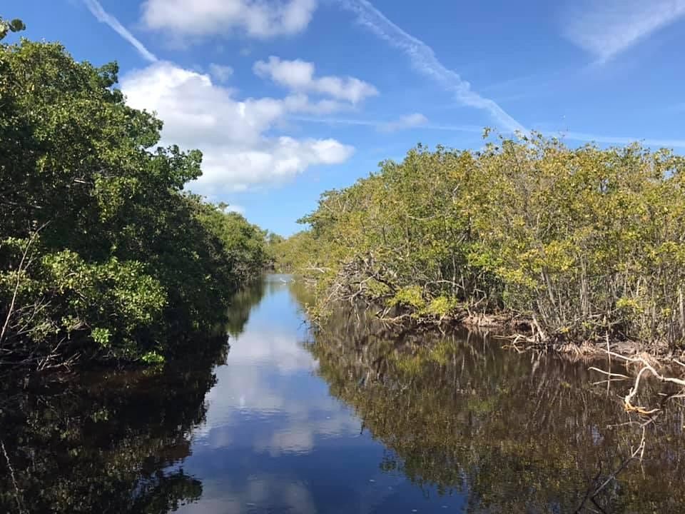 Meditate among the Mangroves -- at the Wildlife Education Boardwalk | J ...