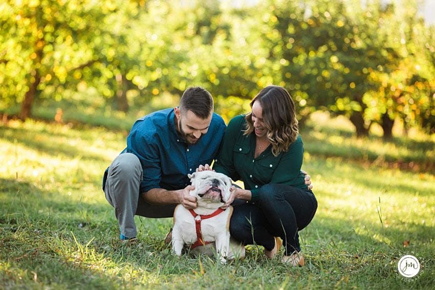 Date Night with the Dog Painting with the Pups! Homemade Hounds Bed