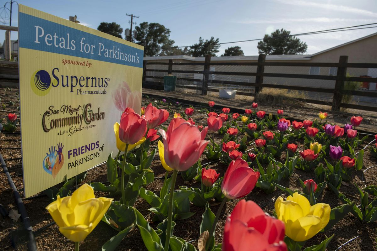 Petals for Parkinson's