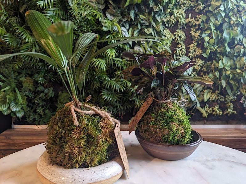 Japanese Kokedama Workshop