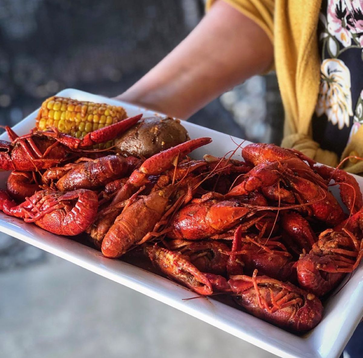 Crawfish Boil Mint & Serif Coffee House, Lakewood, CO May 14, 2025