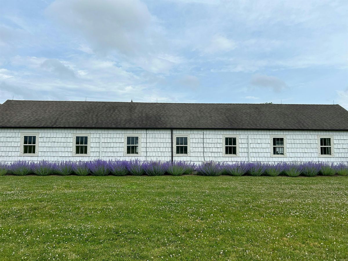 An Exciting Scavenger Hunt! - A Walk To Remember