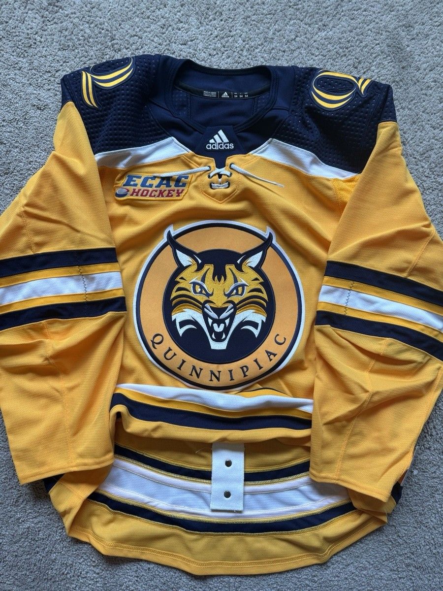 Brown Bears at Quinnipiac Bobcats Mens Hockey at M&T Bank Arena