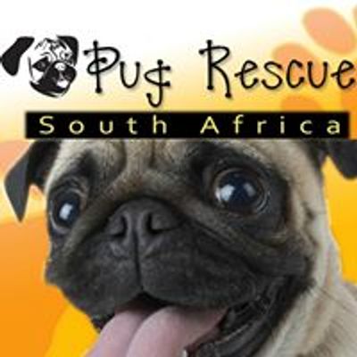 Pug Rescue South Africa