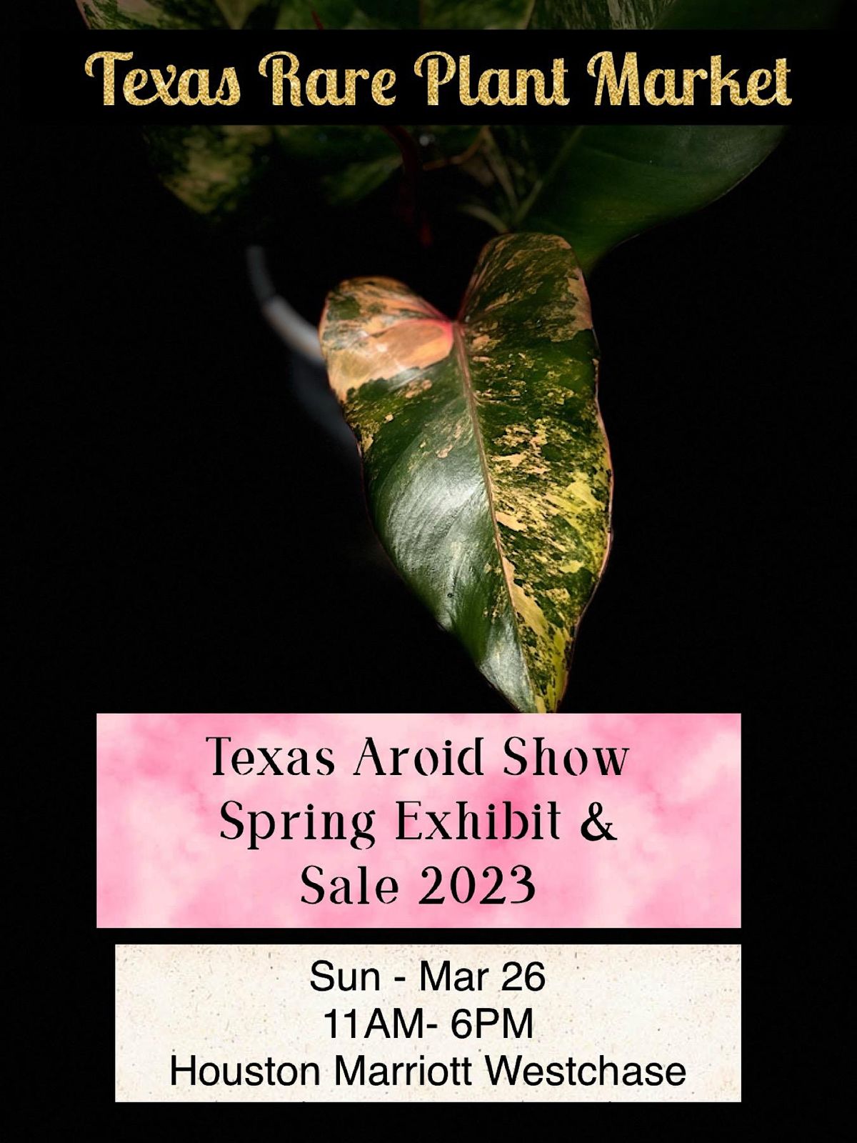 Texas Aroid Show Spring Exhibit & Sale March 26th Houston