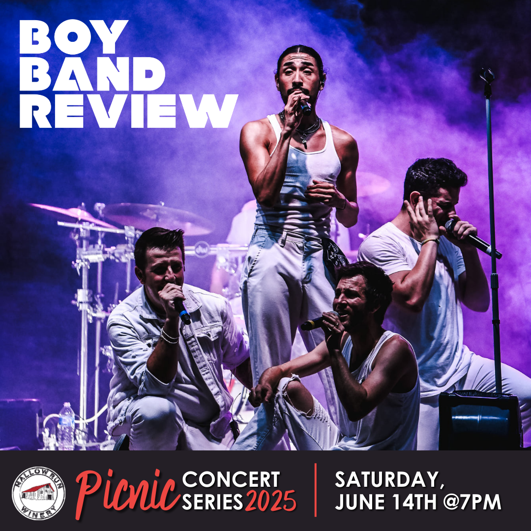 Boy Band Review at Dallas Arboretum