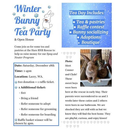 Winter Tea Party Fundraiser Lacey Washington December 18 21