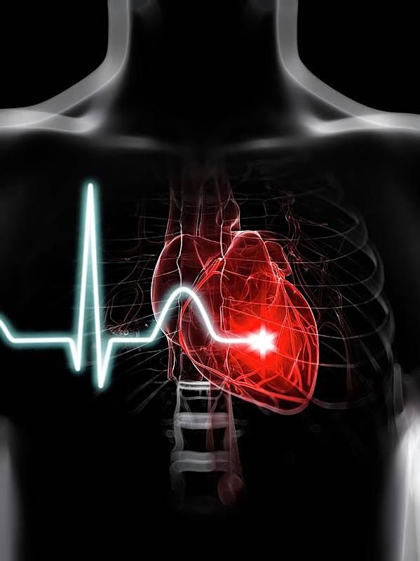 Presidio of Monterey Fire Department CPR Class | 4495 Joe Lloyd Way ...