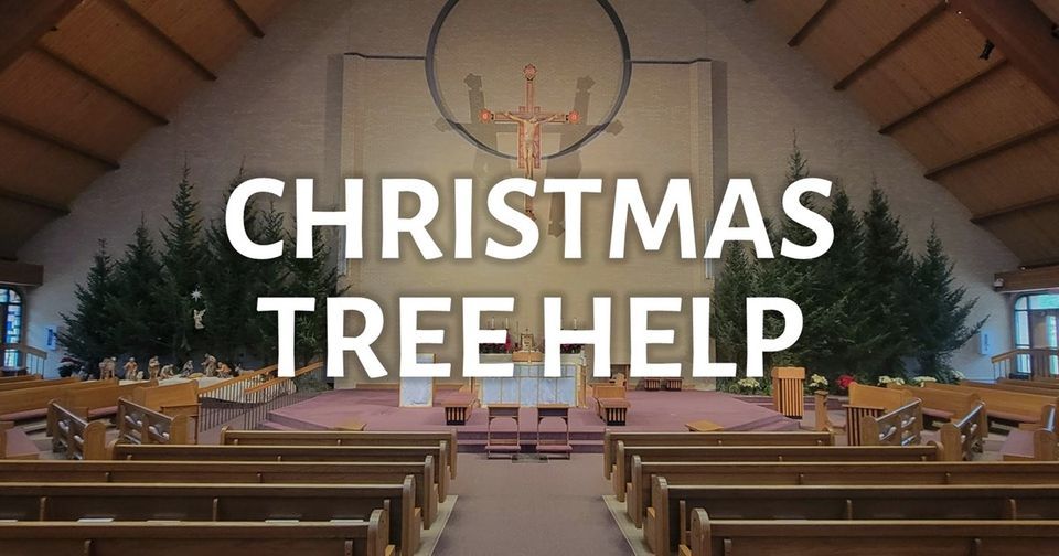 Christmas Tree Help St Maria Goretti Parish Madison WI December christmas-tree-help-st-maria-goretti-parish-madison-wi-december