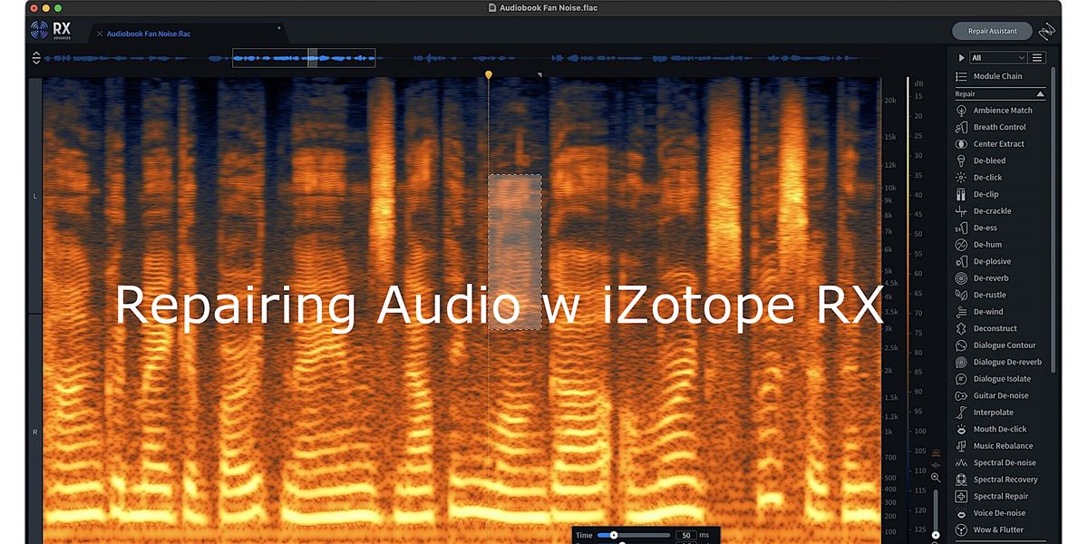 Audio Rx Repairing Audio with iZotope RX | CETI Lab @PSU, Portland, OR | March ...