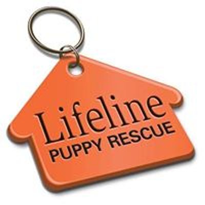 Lifeline Puppy Rescue