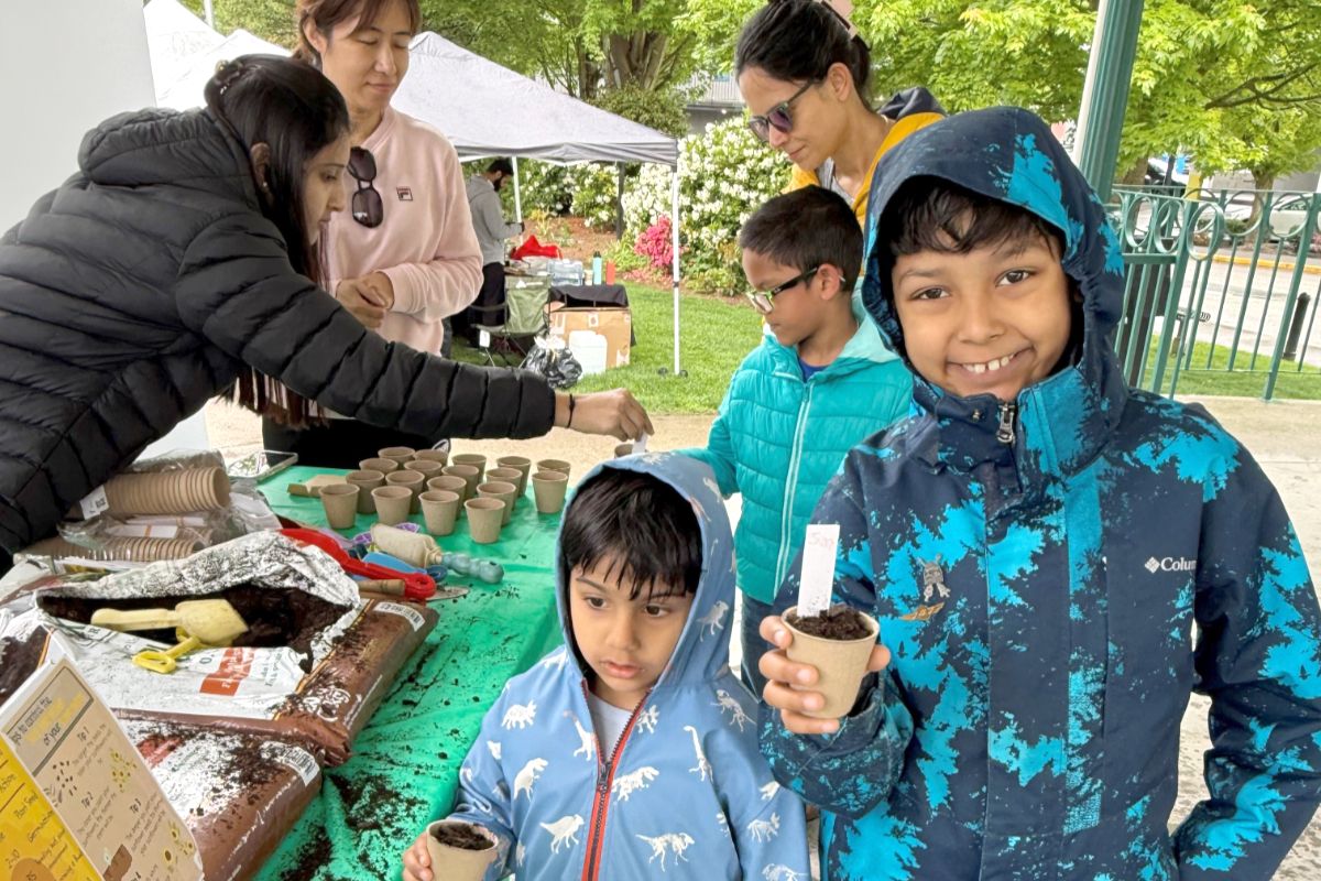 Parking Alie Ward - Ologies