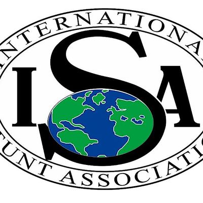International Stunt Association