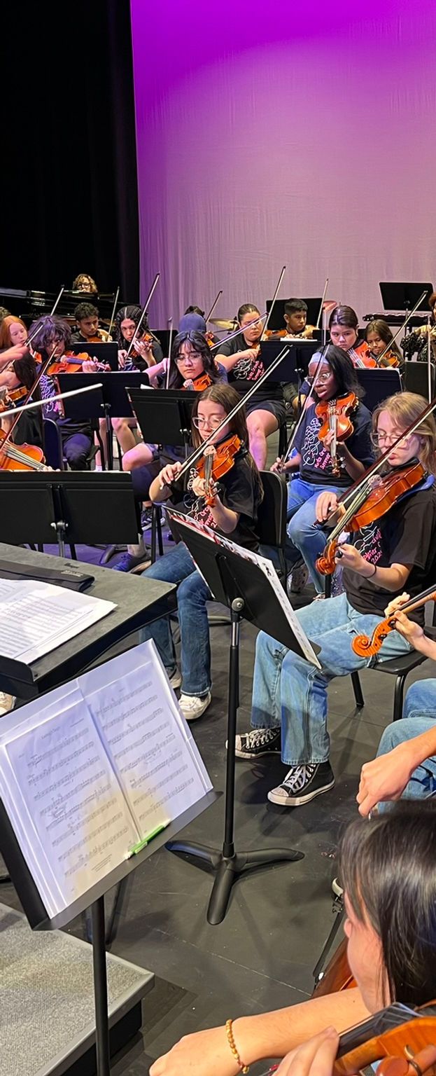 Naples Philharmonic - My Songs in Symphony at Artis - Naples